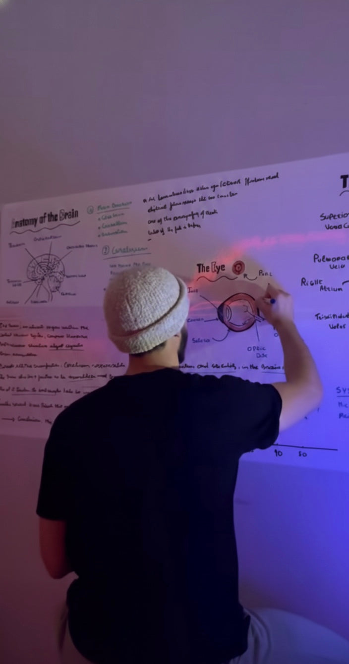 Whiteboard Wall Sticker